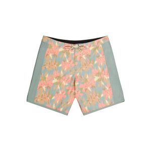 Picture costume ANDY HERITAGE P 17 BRDS