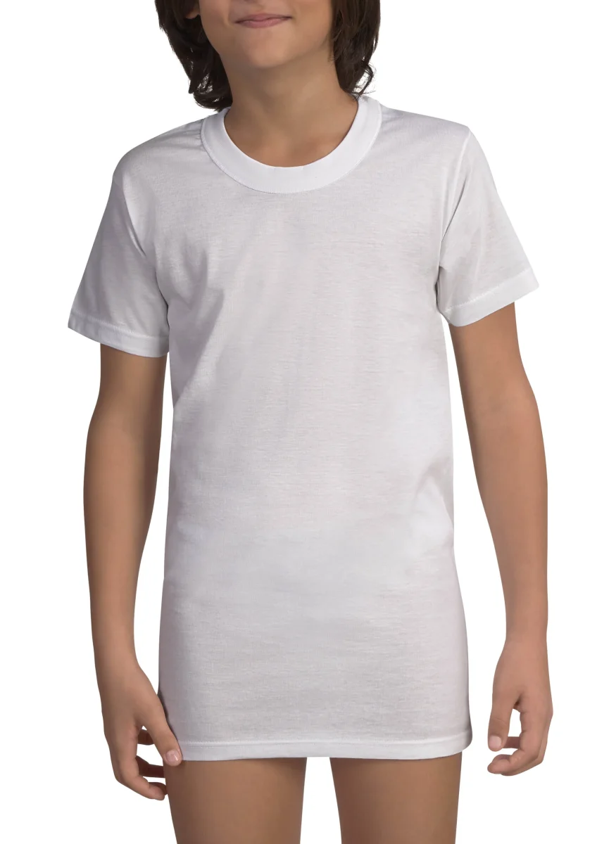 MAGLIA MEZZA MANICA RAGAZZO GIROCOLLO ALTO FRUIT 100% PURO COTONE JERSEY - immagine 2