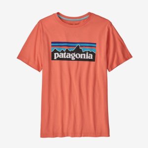 Patagonia maglietta logo Kids’ p-6 logo