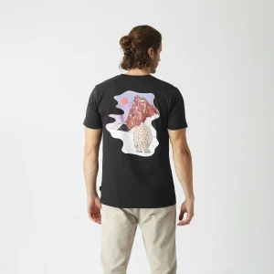 Picture maglietta Romain Figaro Tee