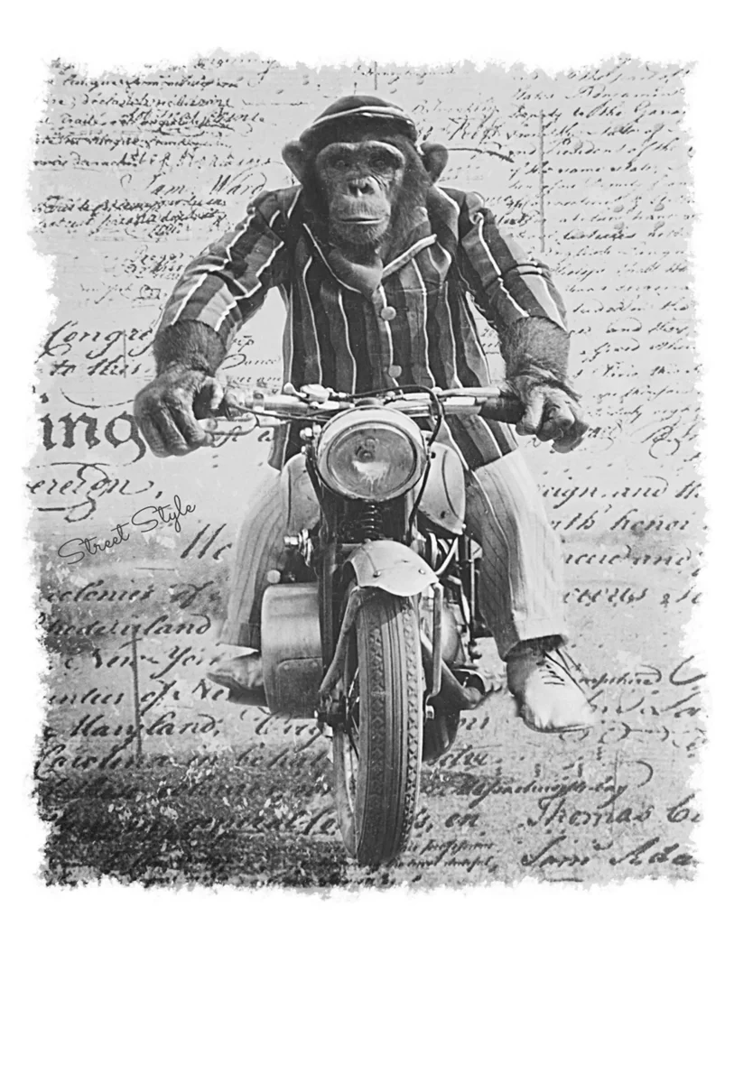 Monkey Dream Moto - T-shirt Uomo Urban 100% Cotone - immagine 8